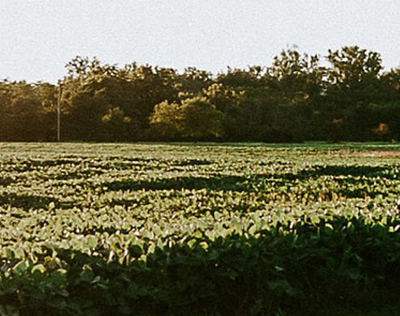 Martensdale, Iowa. Warren County