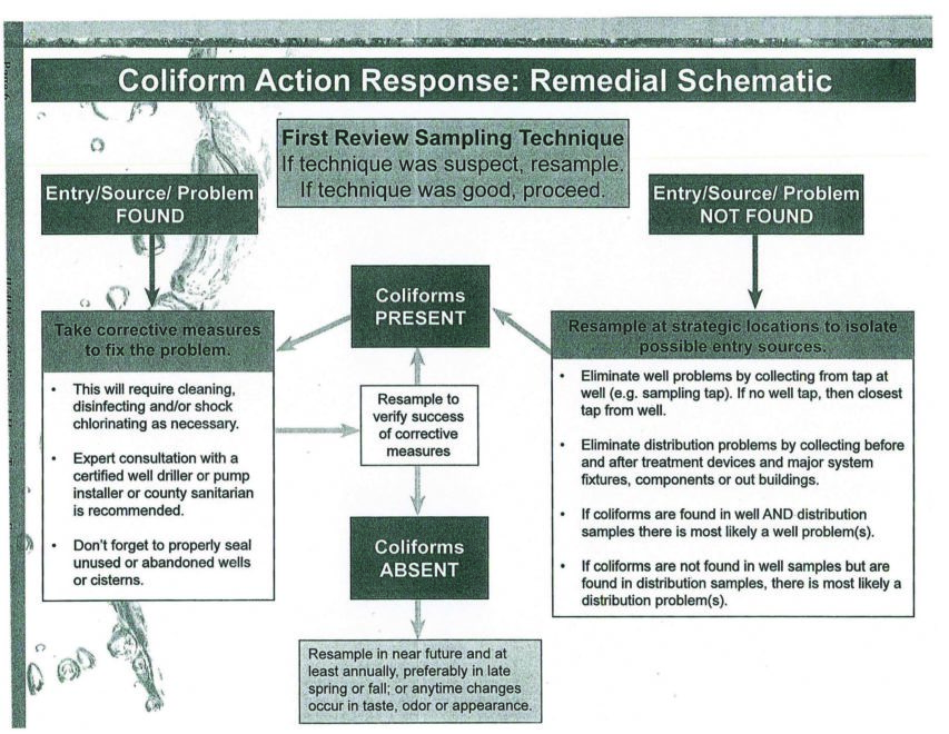 Coliform_Action_Response_2